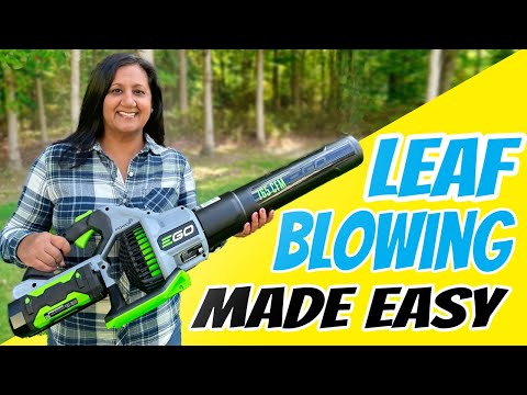 Leaf Blowing Made Easy | 5 Top Tips