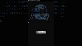 Hidden CMD Trick: Watch a Parrot🦜 Dancing in Your Terminal!