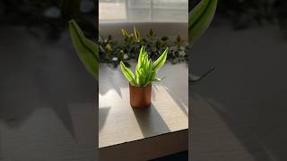 Easy artificial snake plant #diy #cutediy #artificialplant #easydiy