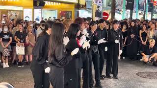 晚安大小姐TANAKA田中雪男0:31