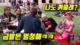 패션학과 다니던 금발 퀸카가 하버드 법대에 입학하면 벌어지는 일 [영화리뷰/결말포함][하이틴 영화 추천]