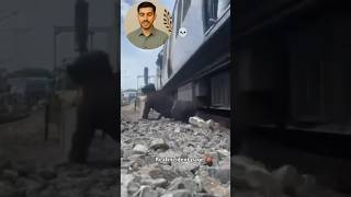 एक छोटी सी गलती, और मौत सामने खड़ी थी #shorts #shortvideo #short #trending #trendingshorts