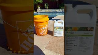 NutriRoot Liquid Tree Fertilizer #treecare