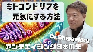 ミトコンドリア活性化がアンチエイジングの鍵！