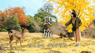 Sub) The Perfect Nara Day Trip - Japan's First Ancient Capital｜Visit The City Of Deer