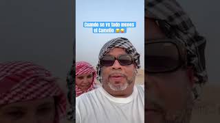The Camel only moves and walks more 😂😂😜😜😂 #aymeenuviola #egypt #deserts #safaristyle