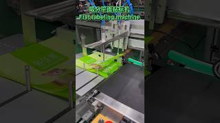 flat labeling machine#labelingmachinemanufacturer