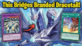 This Secret Tech BREAKS Branded Dracotail! (Combo Guide)