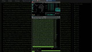 Taking a closer look at some #malware my honeypot saw from a #botnet yesterday #hacking #shorts