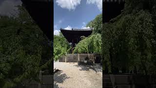 増上寺は都会の中の異空間😃#東京#港区#増上寺#旅行#旅行vlog #旅行好きな人と繋がりたい #国内旅行#Tokyo#jaran#zojoji ##trip