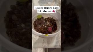 Turning Raisins back into Grapes 🍇