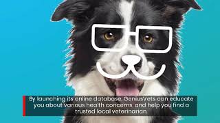 Connect With Reliable Vets In Your City With This Online Listing Search Service
