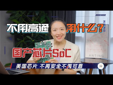 “美国芯片不再安全不再可靠” ，考虑一下国产芯片SoC