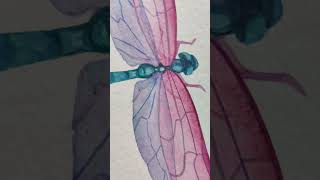 Dragonfly illustration • watercolor on paper • #watercolorartist #colourmix #personalproject