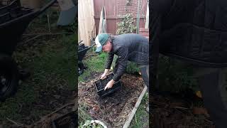 Bio Char Easy Application #biochar #mybackyardgarden #diyfertilizer #fertilizer #growyourownfood