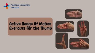 Active Range of Motion Exercises for the Thumb (English)