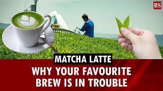 Matcha Latte: Why your favourite brew is in trouble | Viral matcha drink | Matcha drink recipe