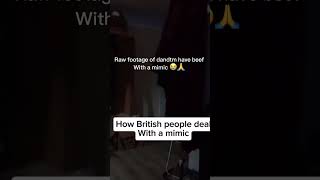raw footage of dandtm having beef with a mimic 😭🙏 #mimic  #funny #funnyshorts #fypage  #fypshorts