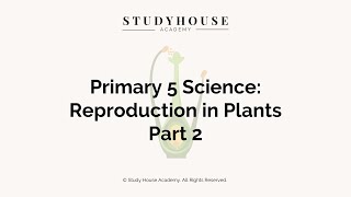 Reproduction in Plants (Part 2) | Primary 5 | Learn with Study House Academy