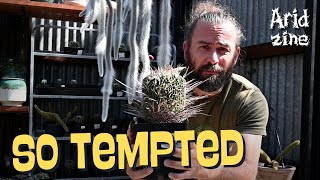 A cactus shopping spree: rare plants and tough decisions