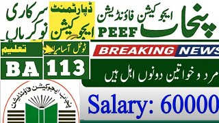 Punjab Education Foundation jobs 2025 I 113 New Jobs in PEF I monitoring and evaluation jobs