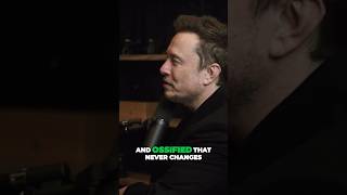 #elonmusk #elon #elonmuskmotivation #elon_musk #musk #elonmuskpodcast