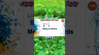 Measure Words in Chinese!  (量词)#MeasureWords #量词 #forbeginners #learnchinese #mandarin