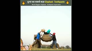 दुन्या का सबसे बड़ा Elephant Toothpaste Experiment😱🔥@MR. INDIAN HACKER @Crazy XYZ @MrBeat #Shorts