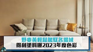 野麥黃輕鬆駕馭各場域 得利塗料曝2023年度色彩【CNEWS】