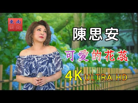 4K台語歌曲 陳思安 演唱 可愛的花蕊