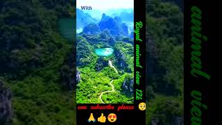 Dirgon inn kangaru jungle golden #drigon #animal #animashorts #dirgonshorts #amzoneearningoffer