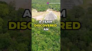 Amazon Forest Nature Travel Tech News #shorts #travel #short #news #trending #shortvideo #viral