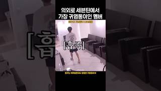 [세븐틴 원우] 의외로 세븐틴에서 가장 귀염둥이인 멤버