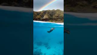The underwater wonders of Hawaii 🌊✨ #hawaii #ocean #freediving #marinelife #photography
