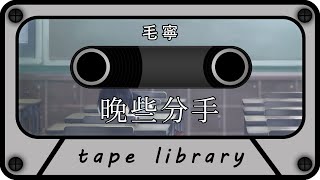 晚些分手 - 毛寧『是不是還是那樣哦你不會在這裡停留很久』【動態歌詞】