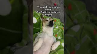 I love my dog