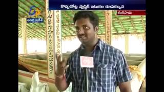 Solid Waste Management system in Kankipadu