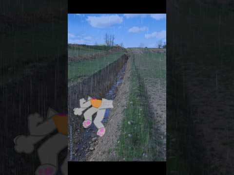 YO TIRADO EN UNA SANJA #shorts #XD #humor #edit