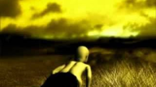The Residents - Amber