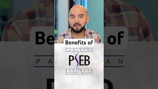 What is PSEB? Benefits for Freelancers and Tech Companies | Pakistan Software Export Board