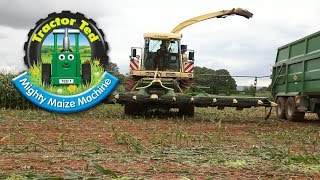 Trailer: Tractor Ted Mighty Maize Machine