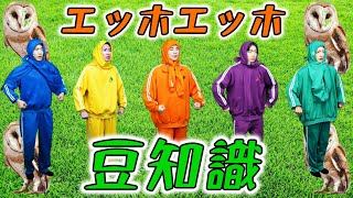 【エッホエッホ豆知識】フクロウと一緒に歌って踊ってみた。