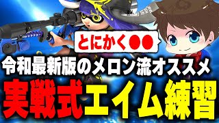 令和最新版「実戦式エイム練習法」について語るメロン【メロン/スプラトゥーン3/切り抜き】