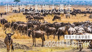 【2024非洲肯亞動物大遷徙】傑瑞大叔美學攝影-momo姐錄製4K