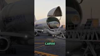 Why The Airbus Beluga is SO BIG