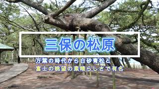 三保の松原　世界文化遺産「富士山」の構成資産