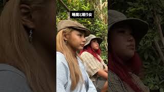 もうHP限界やんww