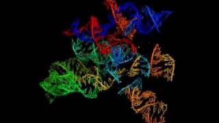 RNA World Screensaver | cmsearch 0.13