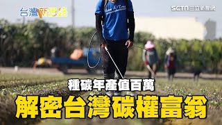 「碳幣」成金融新商機？解密台灣碳權富翁！小農種碳年產值百萬 碳權市場規模將超越石油？｜台灣新思路｜94要賺錢