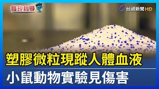 塑膠微粒現蹤人體血液 小鼠動物實驗見傷害【發現科學】